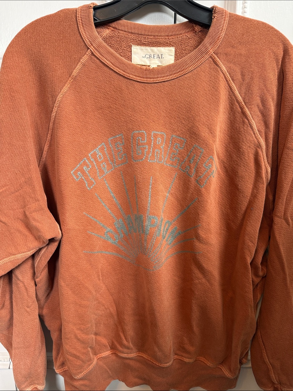 THE GREAT Rust Orange Graphic Crewneck Sweatshirt